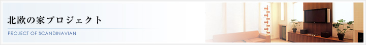「北欧の家」プロジェクト
